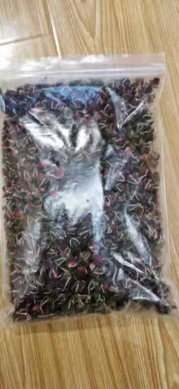 金边玫瑰  250g